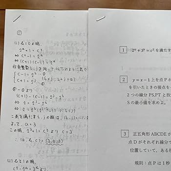 一橋大学　黄本　2024 Amazon.co.jp: 一橋大学黄本2024年度版 FENK : おもちゃ